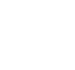 icon of plane flying around a globe